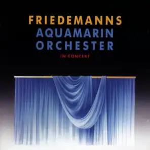 Aquamarin Orchester In Concert