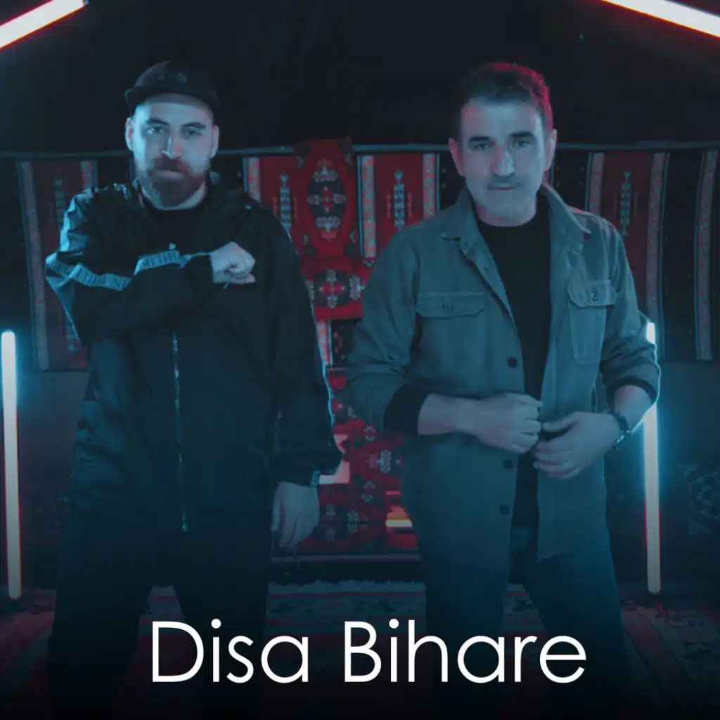 Disa Bihare