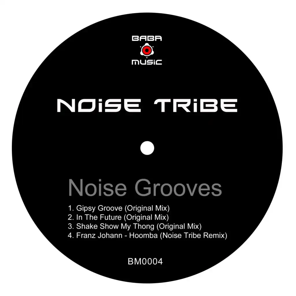 Noise Grooves