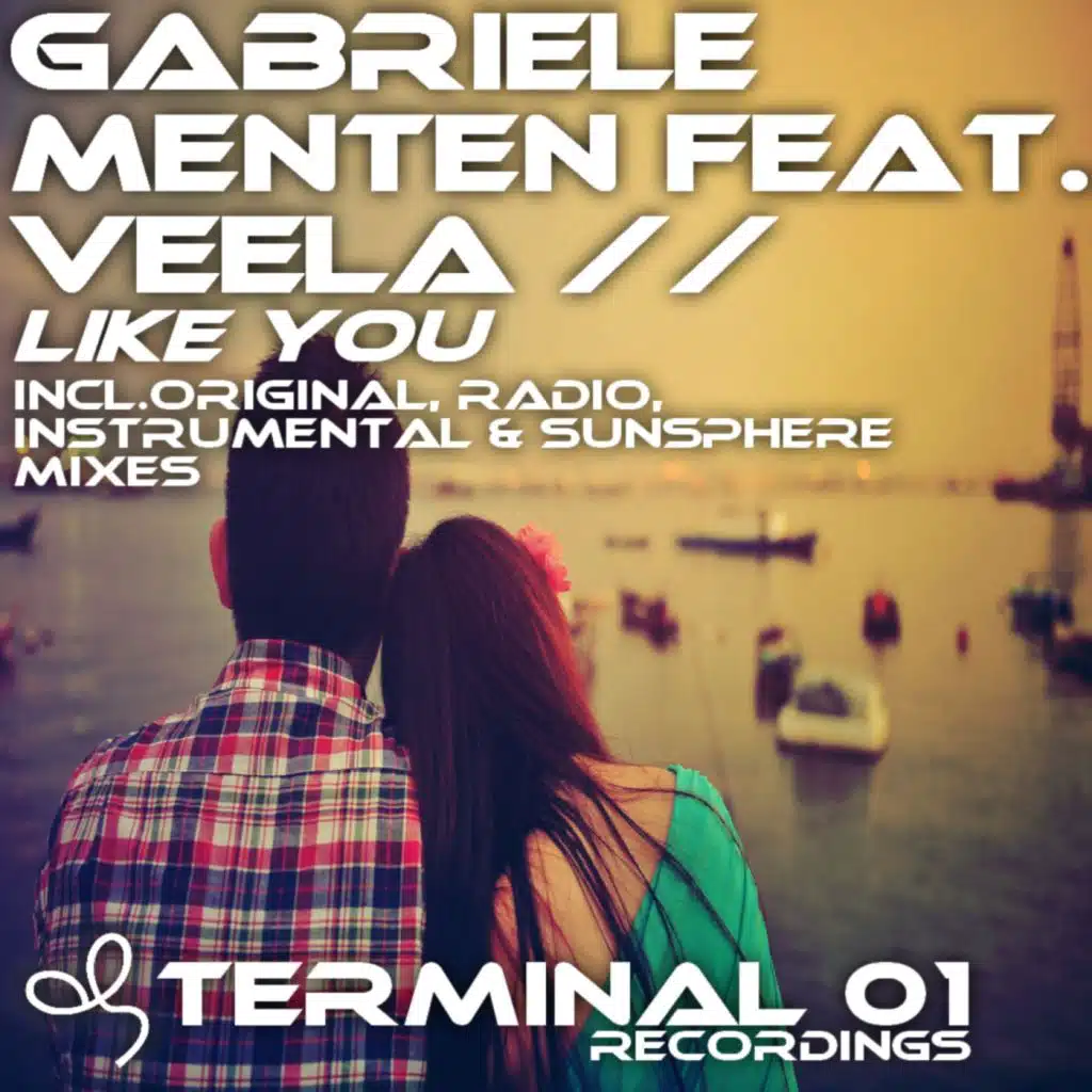 Like You (Radio Mix) [feat. Veela]