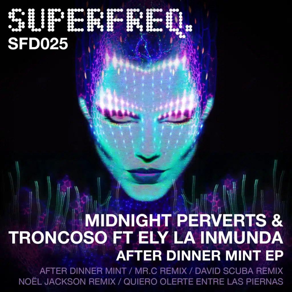 After Dinner Mint (Mr.C Remix)