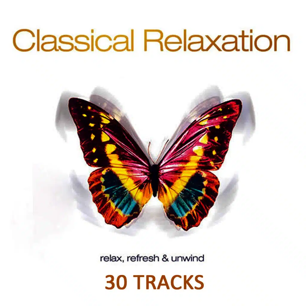 Classical Relaxation