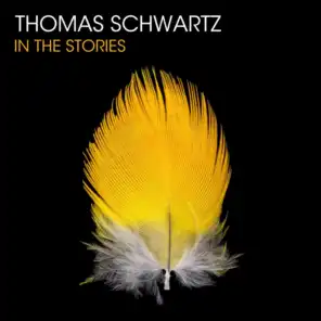 In The Stories (Fausto Fanizza & Thomas Schwartz Remix)