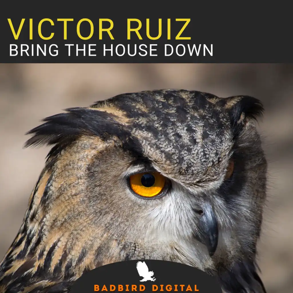 Bring The House Down (Konstantin Yoodza Remix)