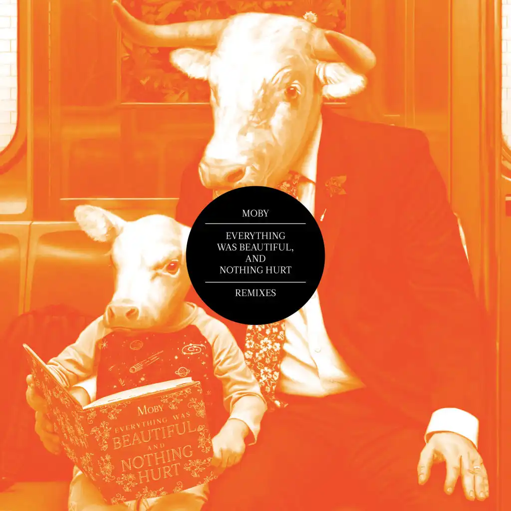 Ceremony of Innocence (Analog Schule Remix)