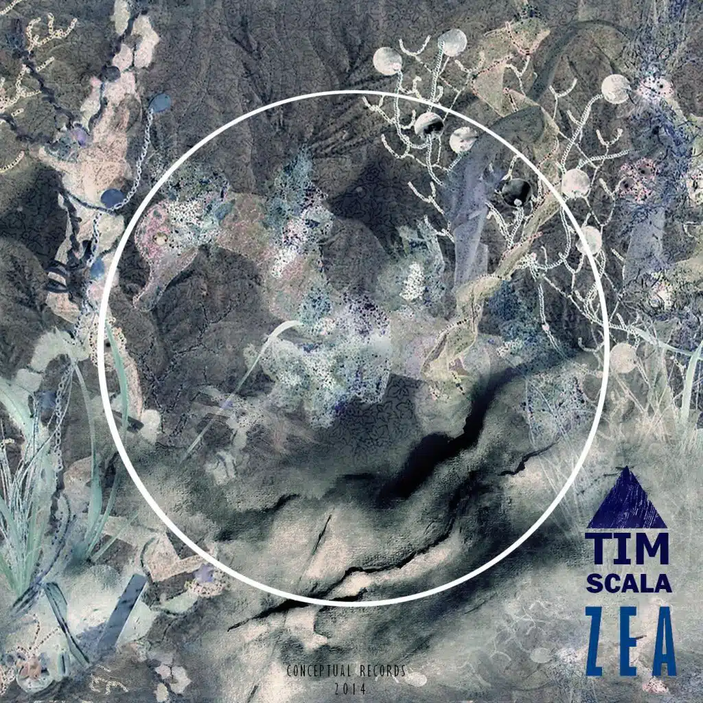 Tim Scala