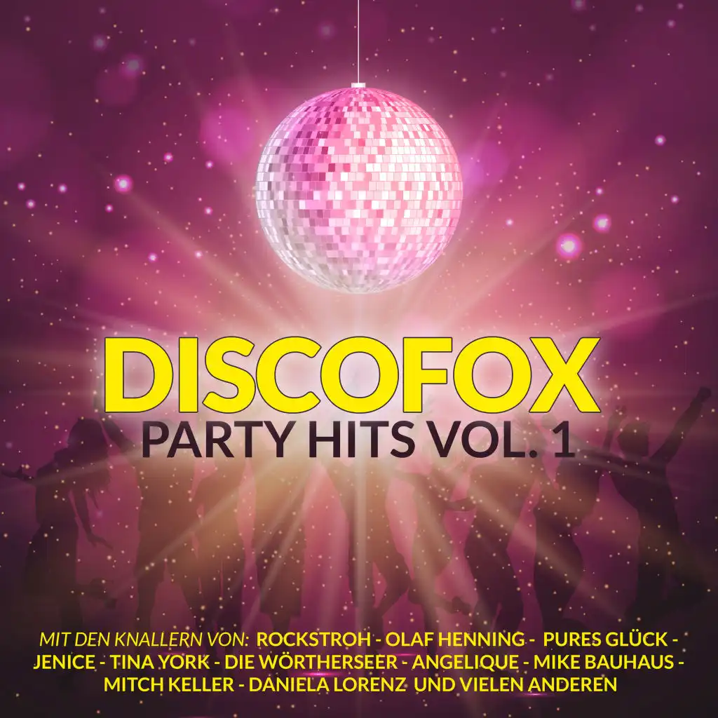 Discofox Party Hits, Vol. 1