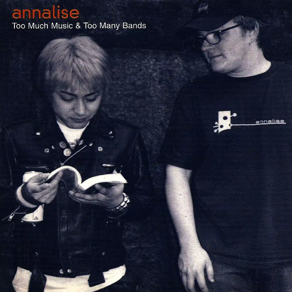 Too Much Music And Too Many Bands