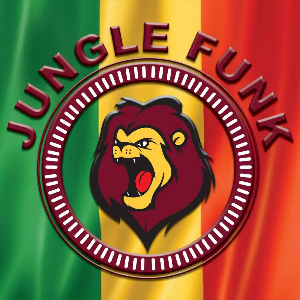 Africa (Jerome Robins vs Deko-ze Jungle Funk Remix)