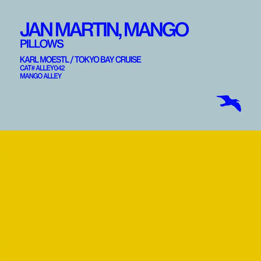 Pillows (Mango Version)