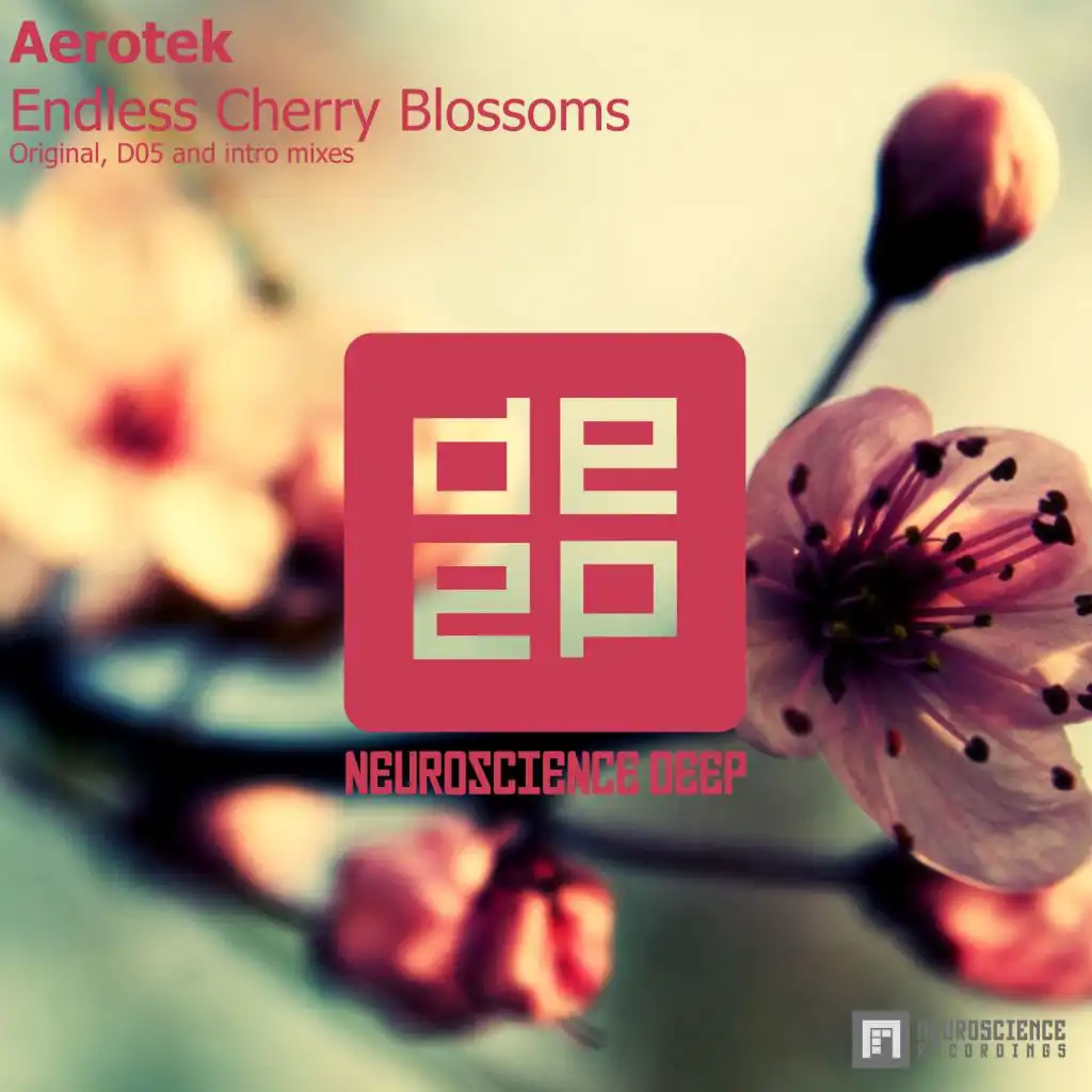 Endless Cherry Blossoms (D05 Remix)