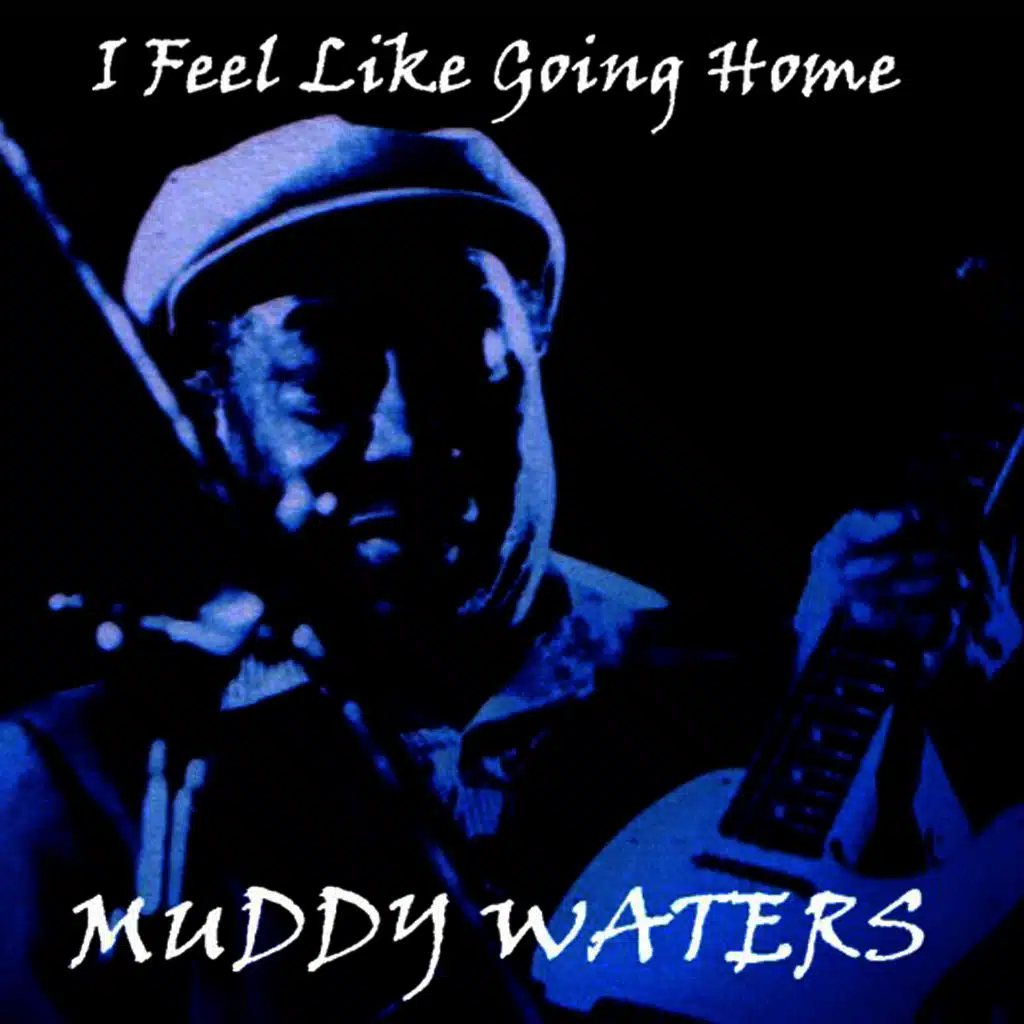 I Feel Like Going Home