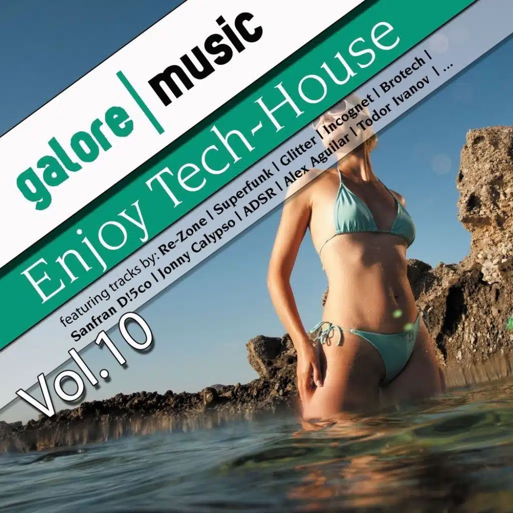 Enjoy Tech-House, Vol. 10