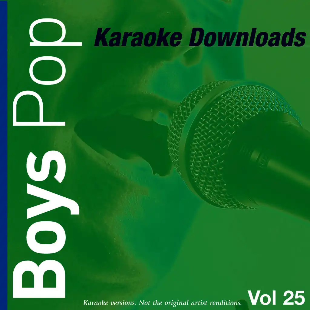 Karaoke Downloads - Boys Pop Vol.25