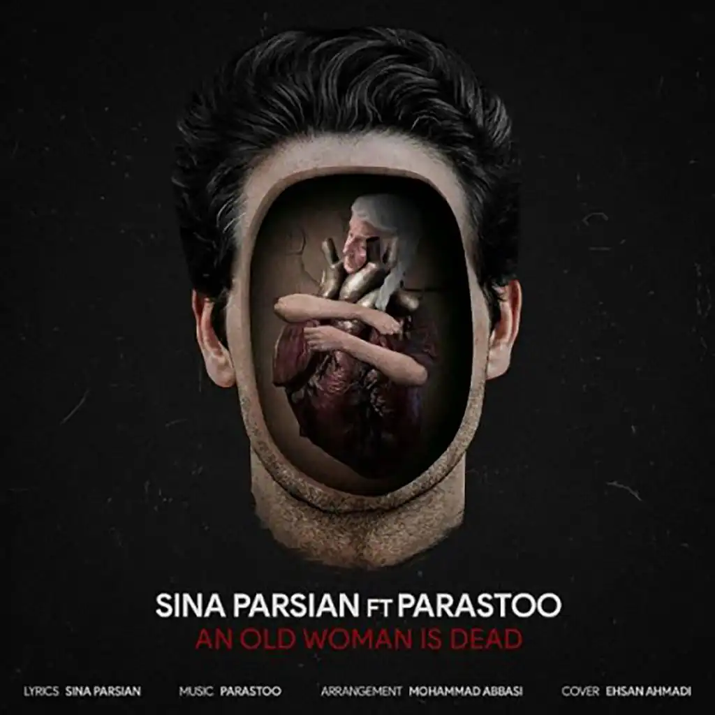 Sina Parsian & Parastoo, Sina Parsian, Parastoo