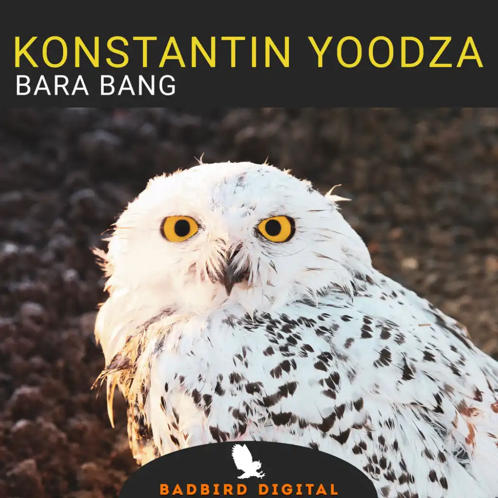 Bara Bang (Topspin Remix)