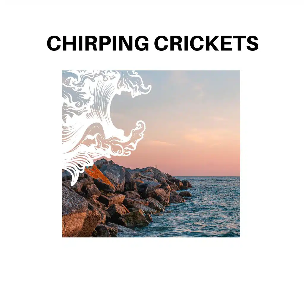 Chirping Crickets