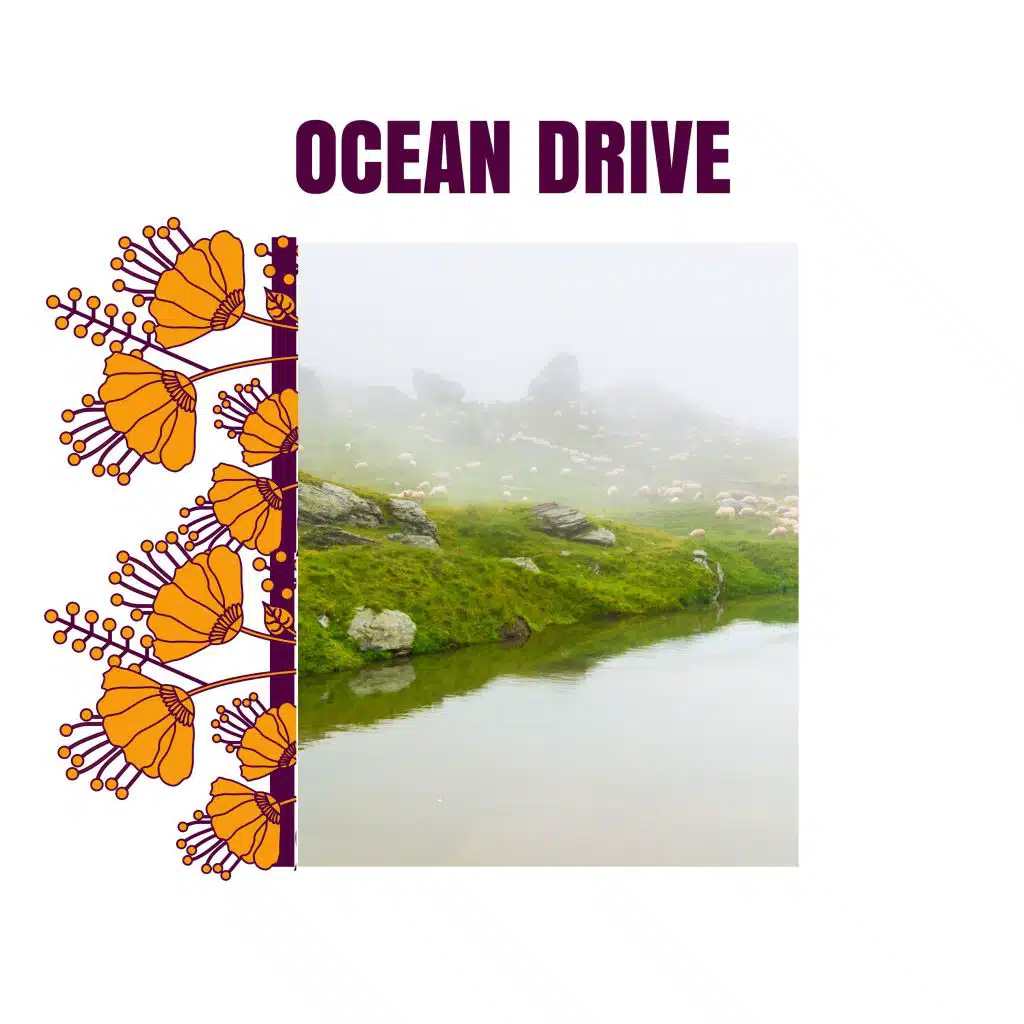 Mesmerizing Waves Music Library