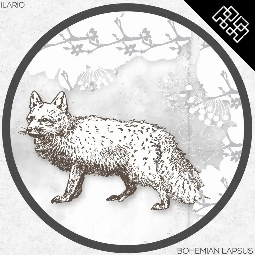 Bohemian Lapsus (Marttina Remix)