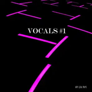 Vocals #1 (Mixed by Disco Van)