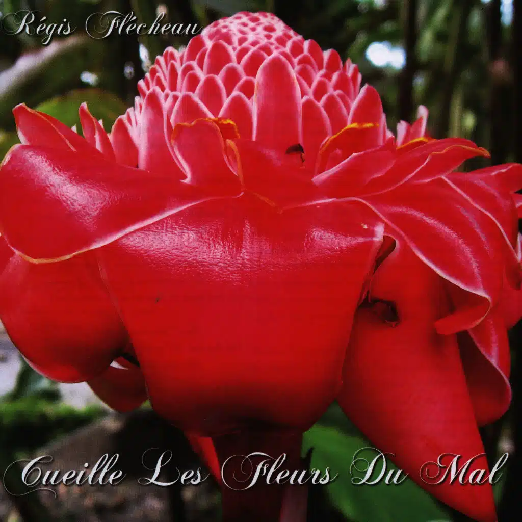 Cueille Les Fleurs Du Mal