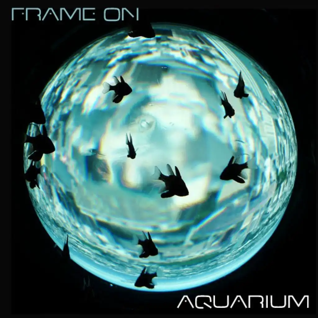 Aquarium (FrameON Nude Disco Cosmic Mix)