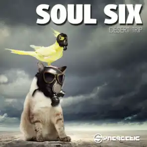 Desert Trip (Soul Six Remix)