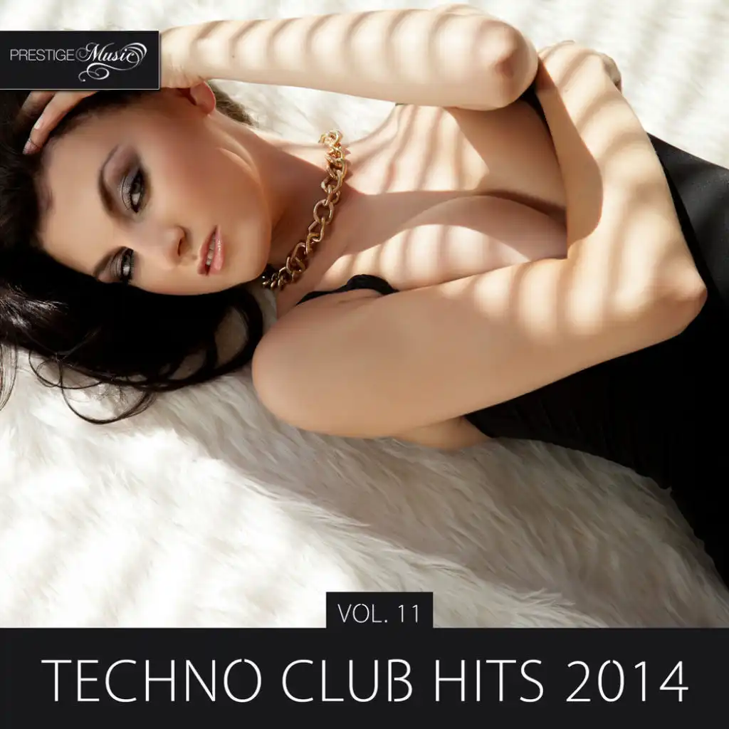 Techno Club Hits 2014, Vol. 11