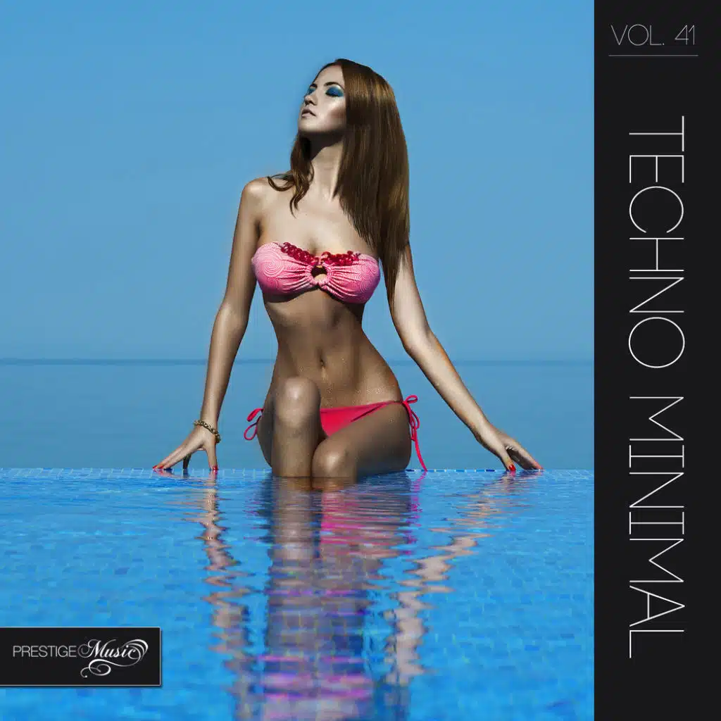 Techno Minimal, Vol. 41