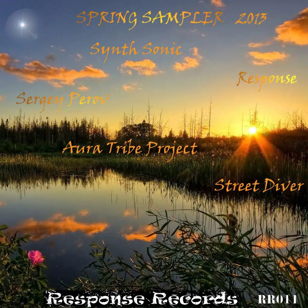 Spring Sampler 2013