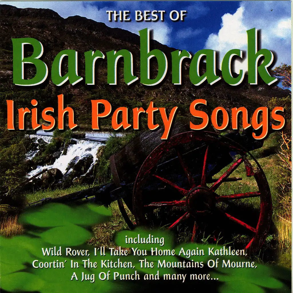 The Best Of Irish Party Songs