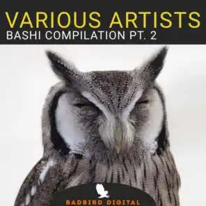 Bashi Compilation, Pt. 2