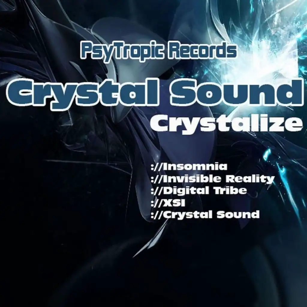 Invisibly People (Crystal Sound Remix)