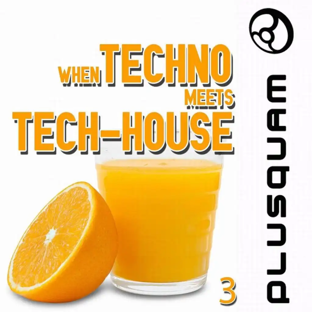When Techno Meets Tech-House, Vol. 3