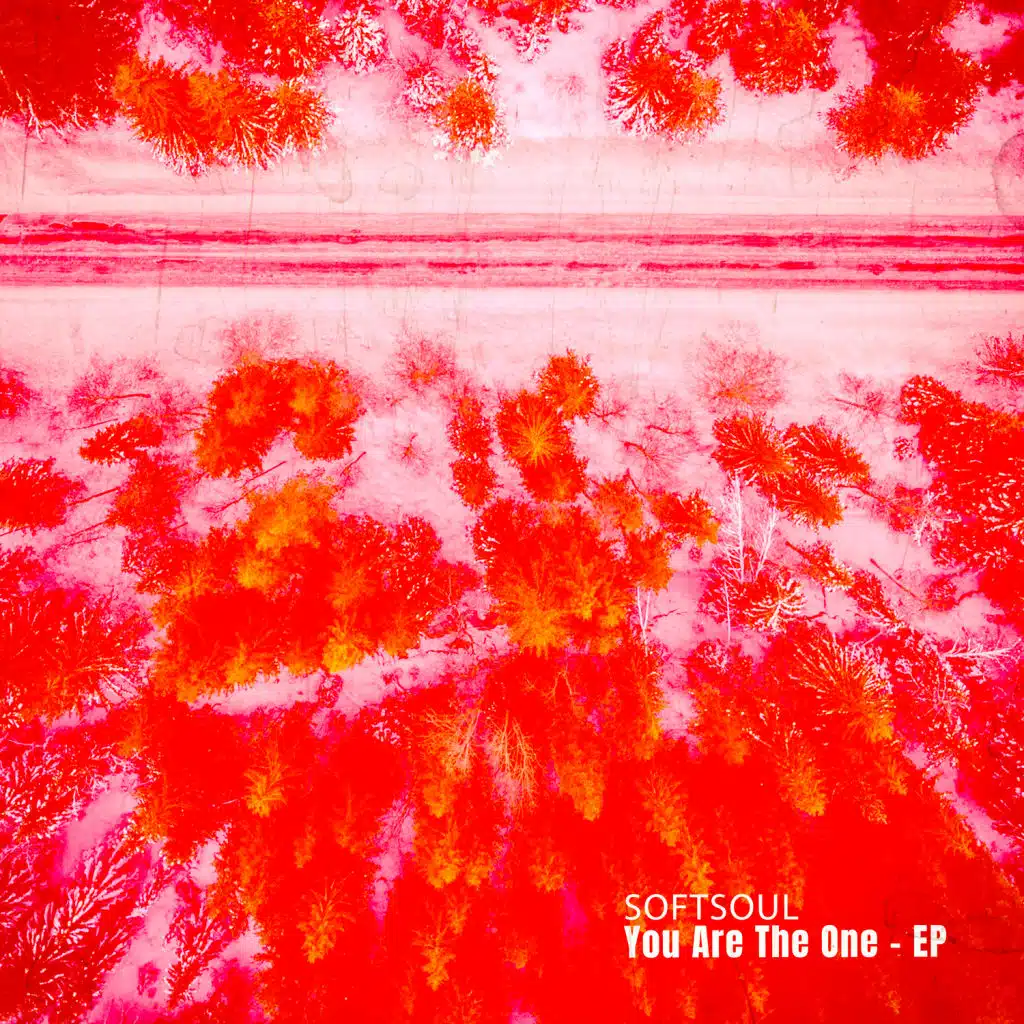 You Are the One (Only Mix)