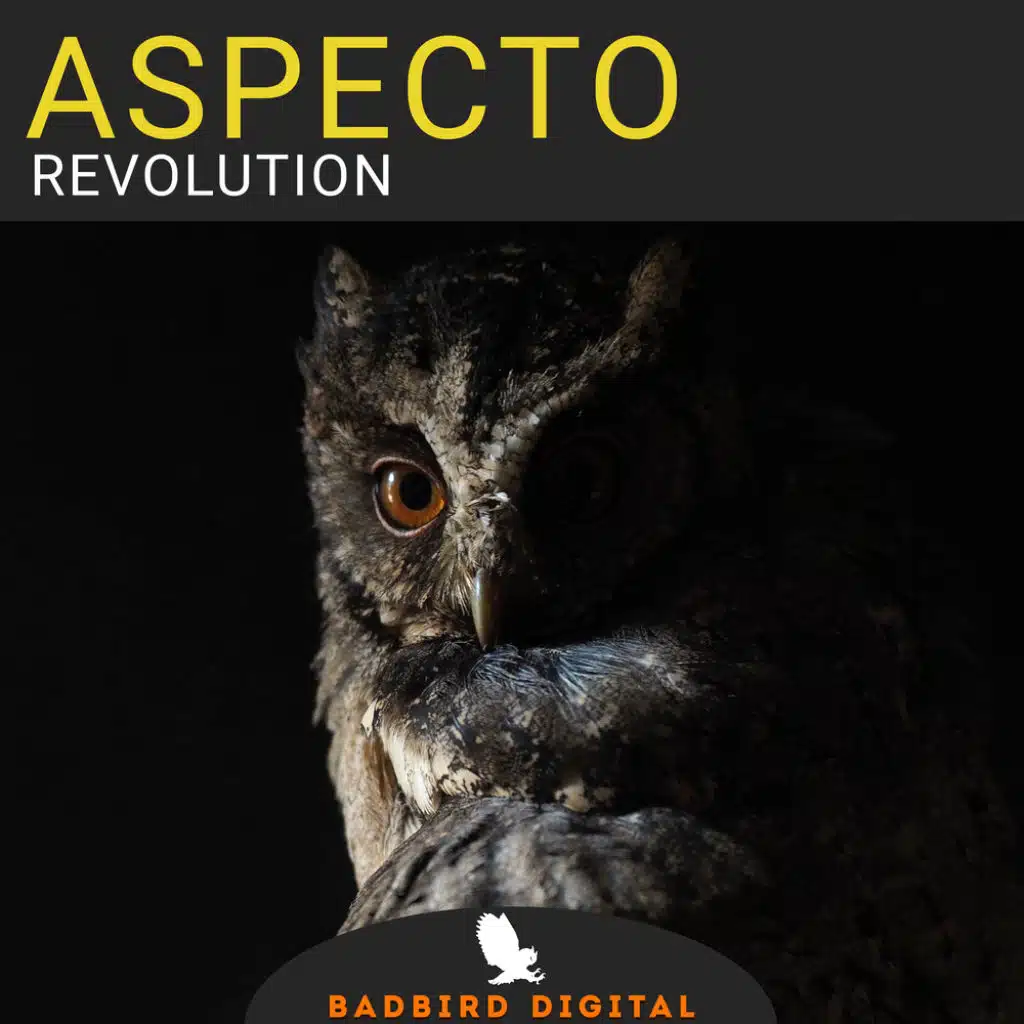 Revolution (In STN Mix)