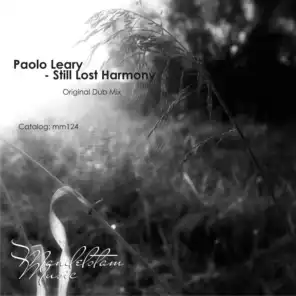 Still Lost Harmony (Original Dub Mix)