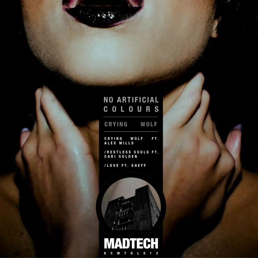 Crying Wolf (feat. Alex Mills)