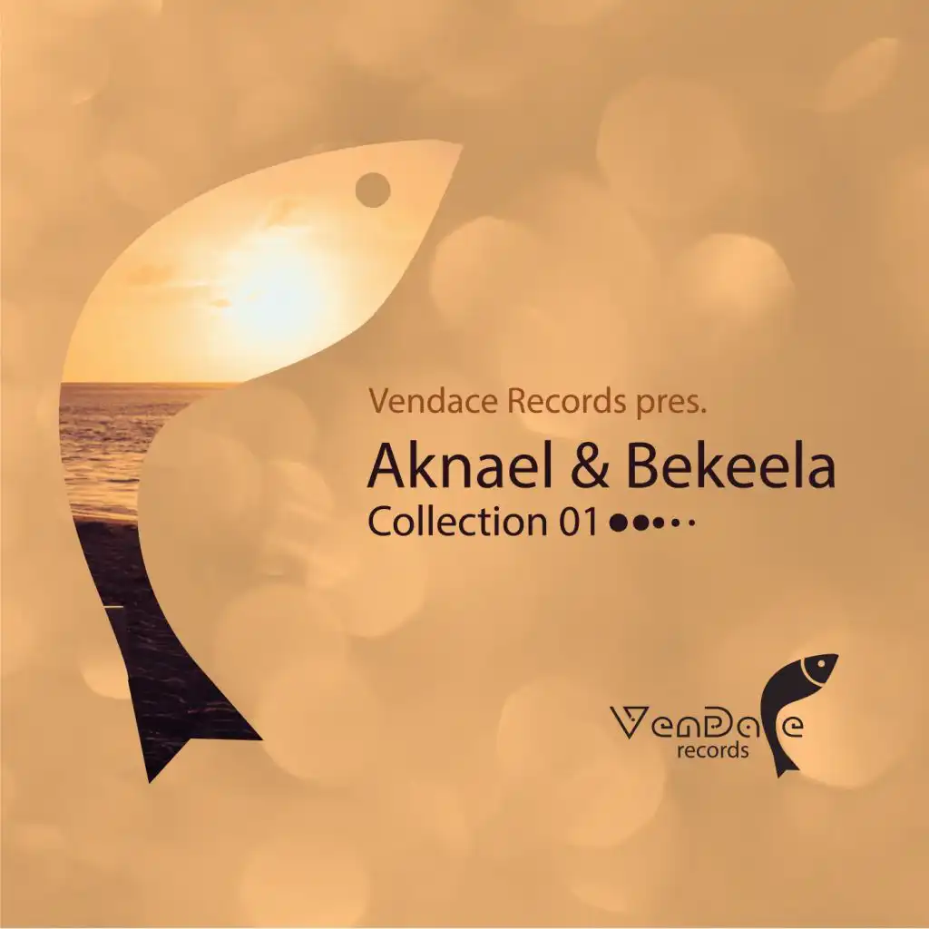 Never Give In (Aknael & Abebe Bekeela Remix)
