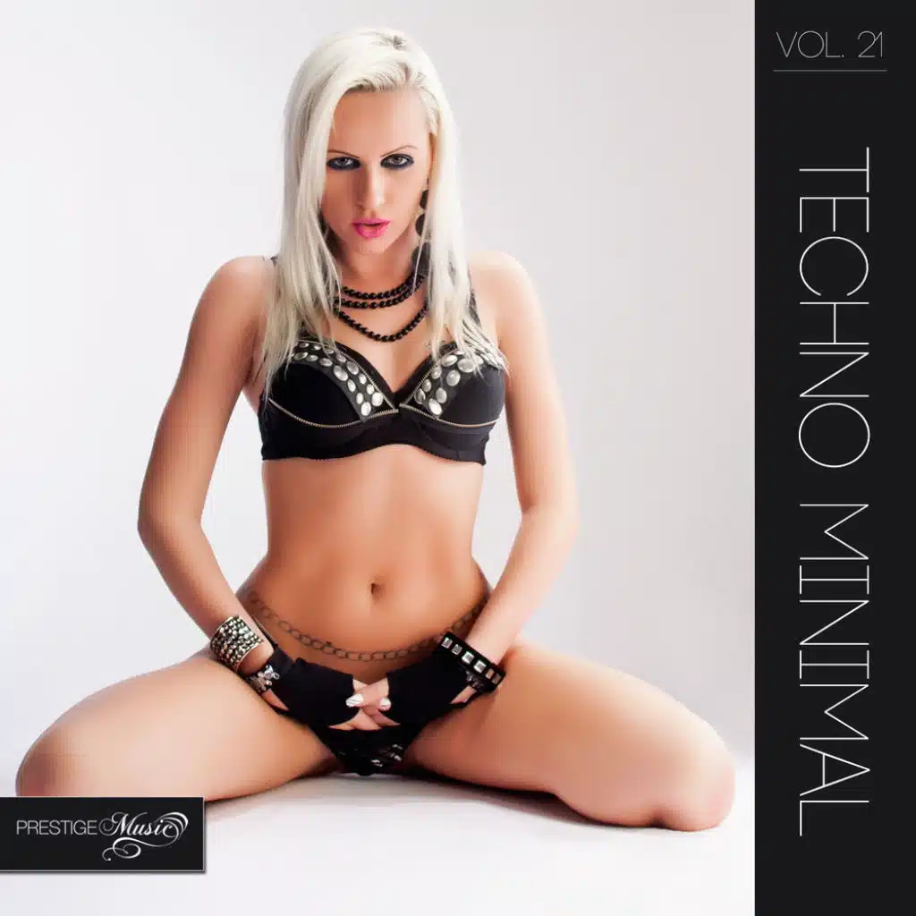 Techno Minimal, Vol. 21