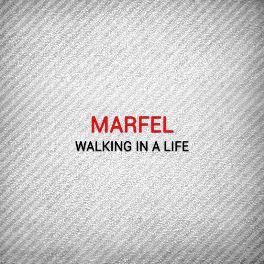 Walking in A Life (Martina Beatz Remix)