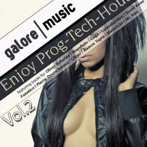 Enjoy Prog-Tech House, Vol. 2