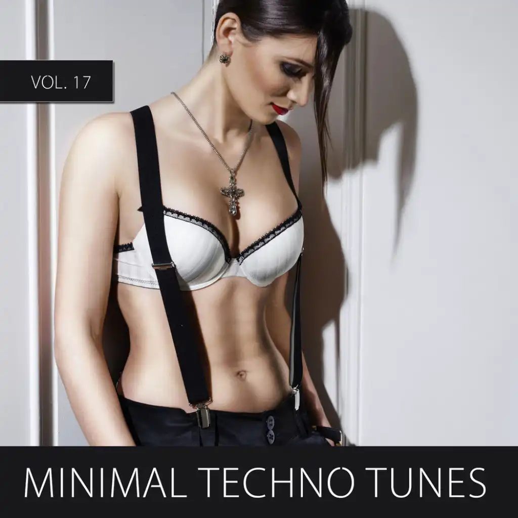 Minimal Techno Tunes, Vol. 17