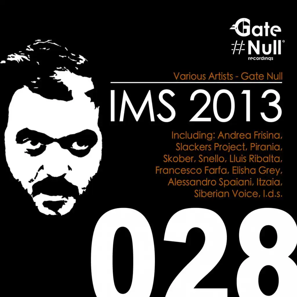 Ims 2013