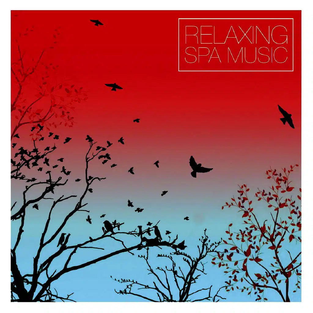 Relaxing Spa Music
