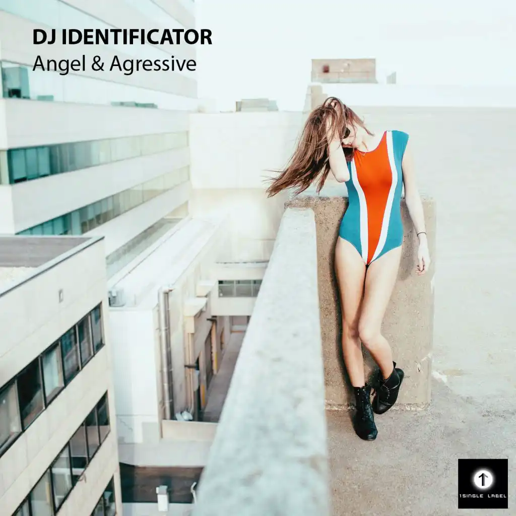 DJ Identificator