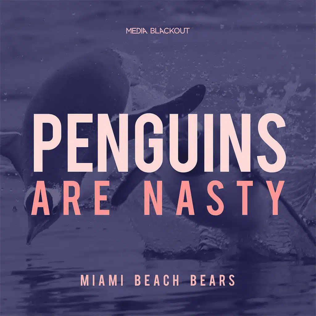 MiamiBeachBears