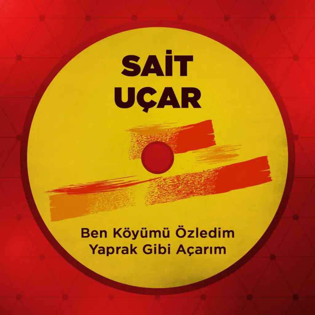 Gez Şimdi Hanım Hanım (İnan Alışamadım)