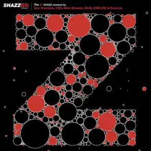 Shazzer Project - The "Z", Pt. 1