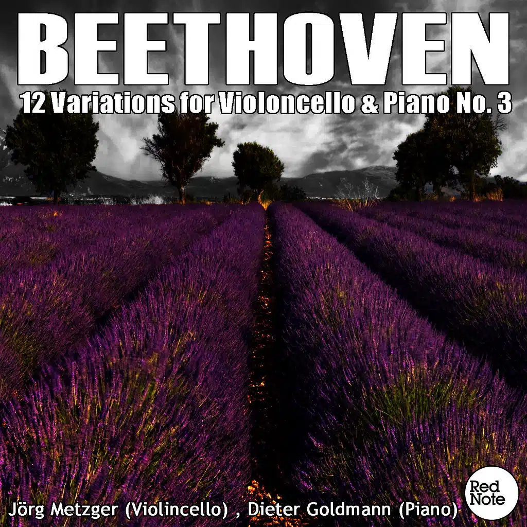 Jörg Metzger, Dieter Goldmann